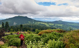 Wandern am großen Arber im Nationalpark Bayerischer Wald.