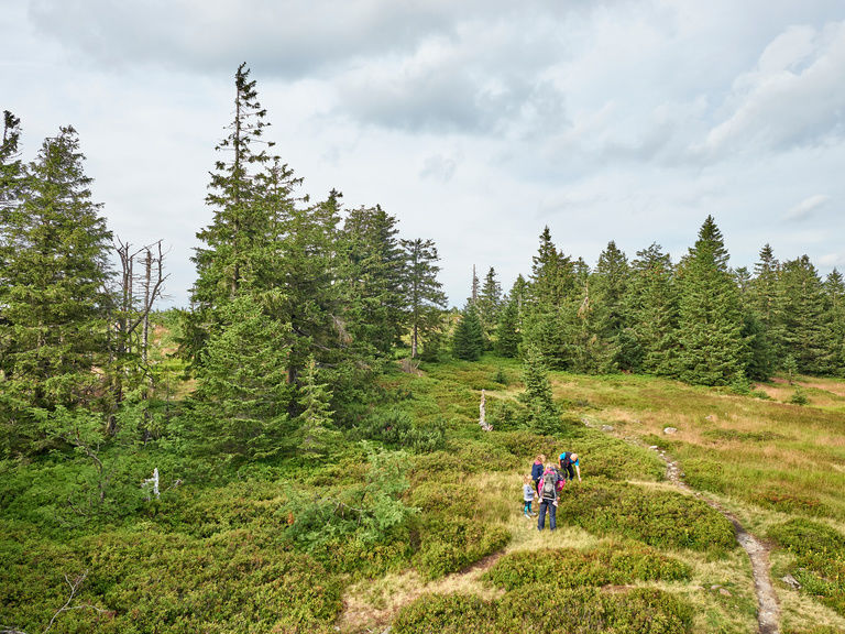Bayerwald Wochenende