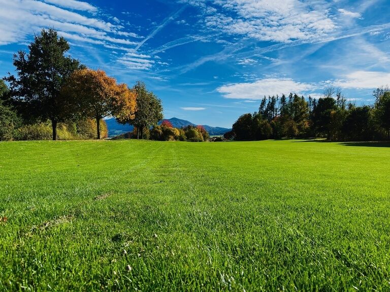 Golfgenuss & Erholung