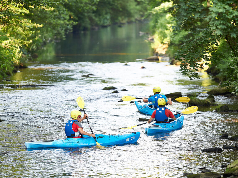 Gruppe von Kajakfahrern mit Schwimmwesten und Helmen auf einem ruhigen, bewaldeten Fluss im Bayerischen Wald.